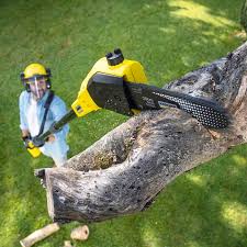 Best Lawn Watering Services  in Cobb Island, MD